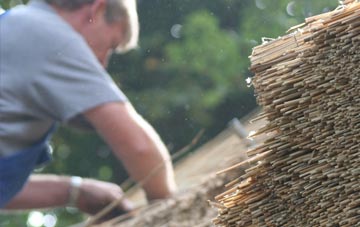 professional Halvosso thatchers